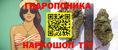 ECSTASY Кимры