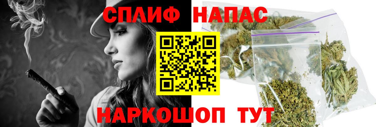 Бошки Шишки планчик Королёв